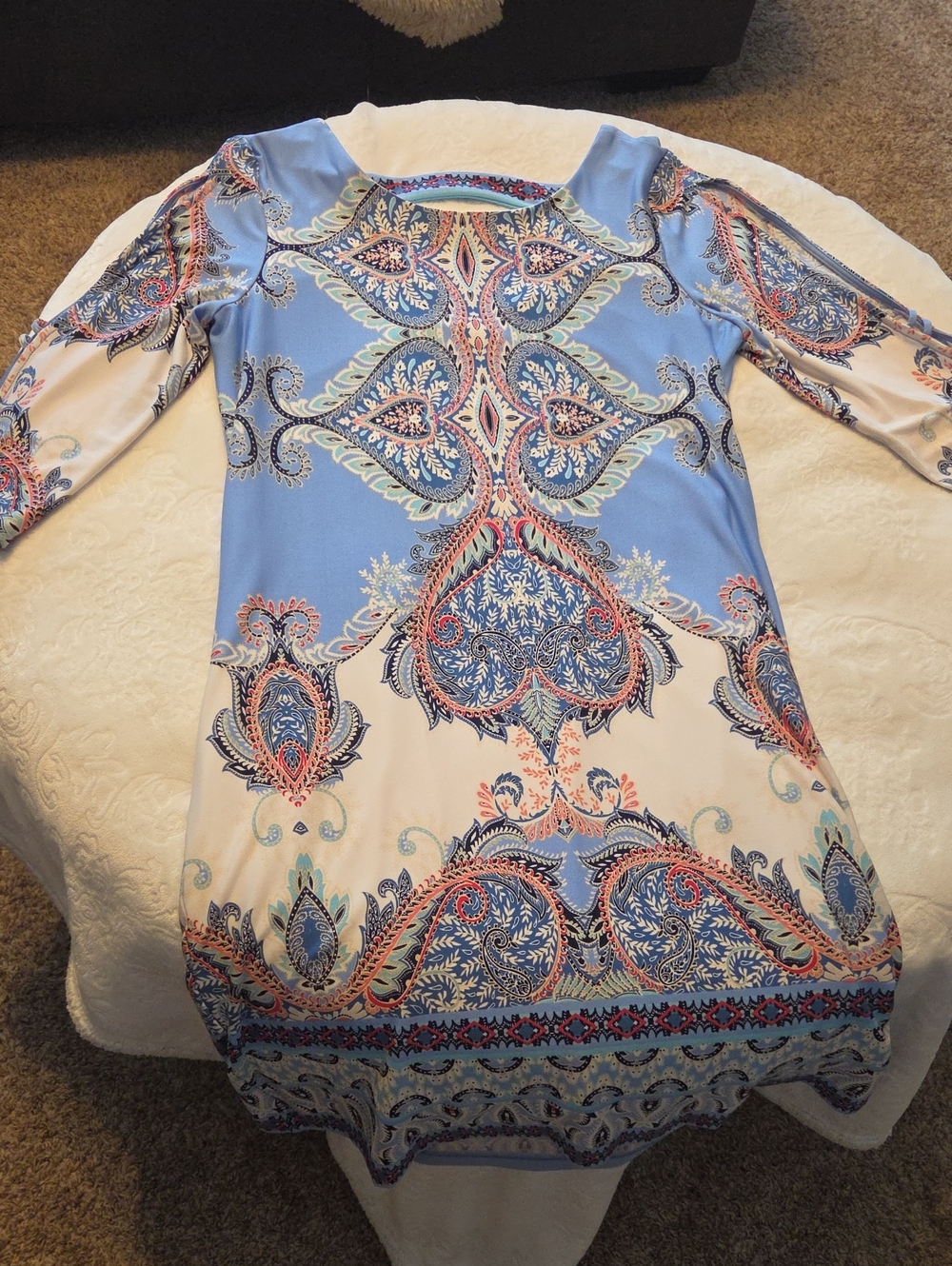 Roz & Ali Blue Paisley Print Long-Sleeve Shift Dress